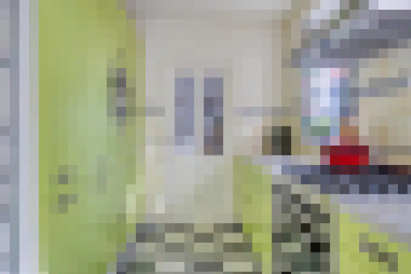 Groningerweg 14 Paterswolde thumbnail 25