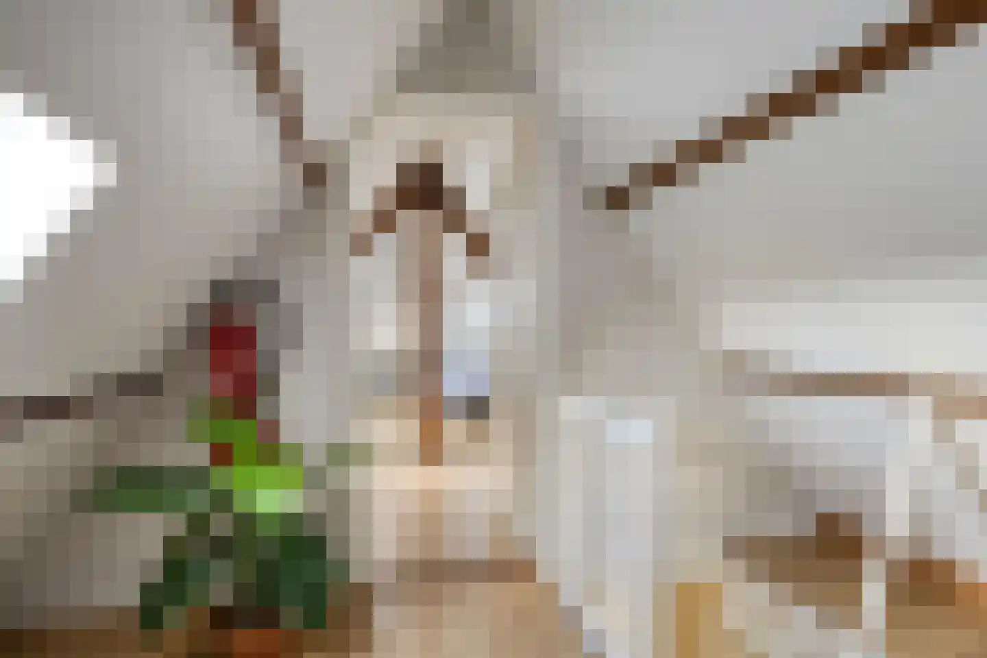 Groningerweg 14 Paterswolde thumbnail 39