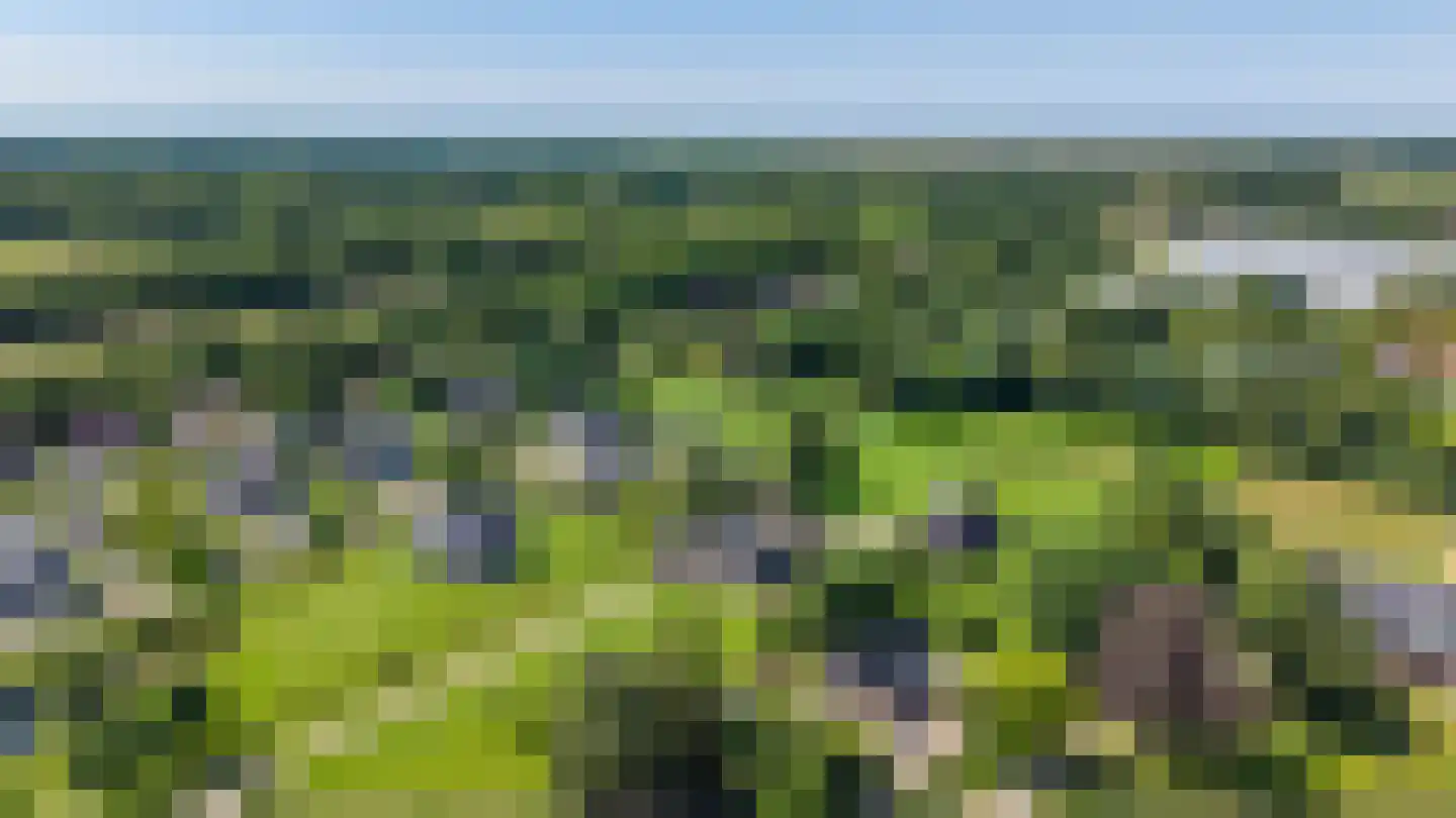 Groningerweg 14 Paterswolde thumbnail 4