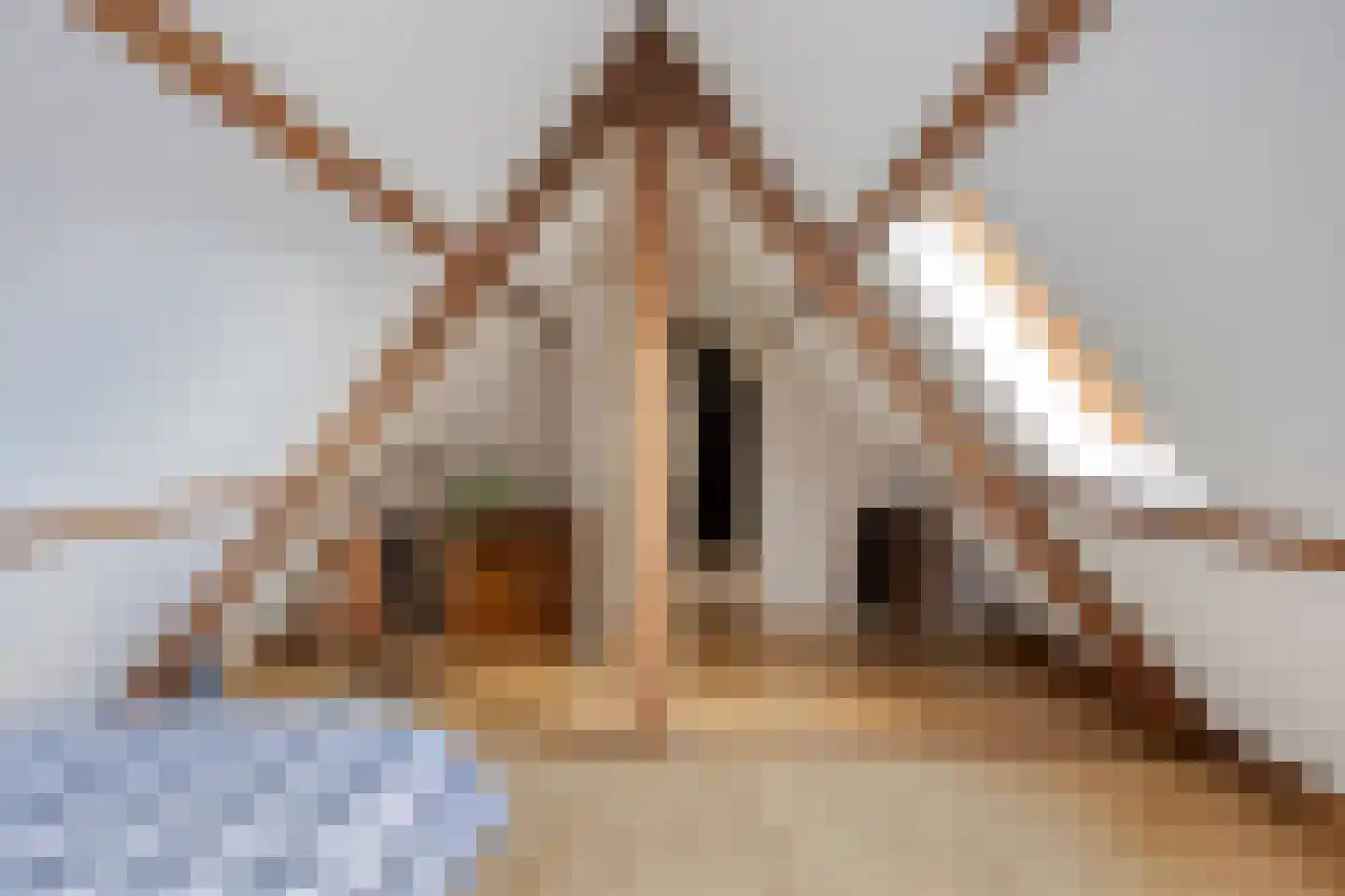 Groningerweg 14 Paterswolde thumbnail 40