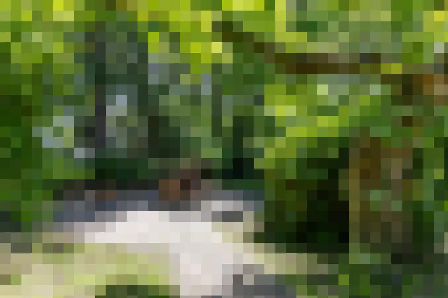 Groningerweg 14 Paterswolde thumbnail 43