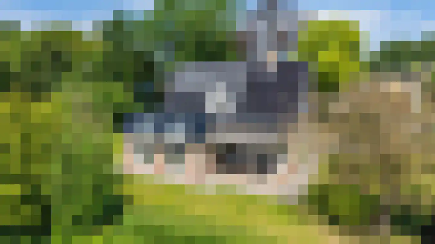 Groningerweg 14 Paterswolde thumbnail 45