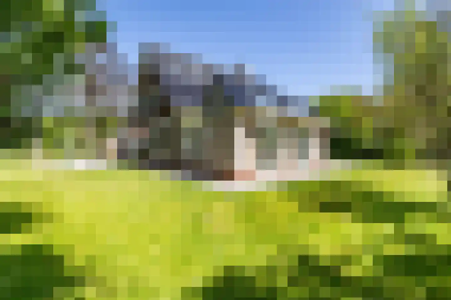 Groningerweg 14 Paterswolde thumbnail 46