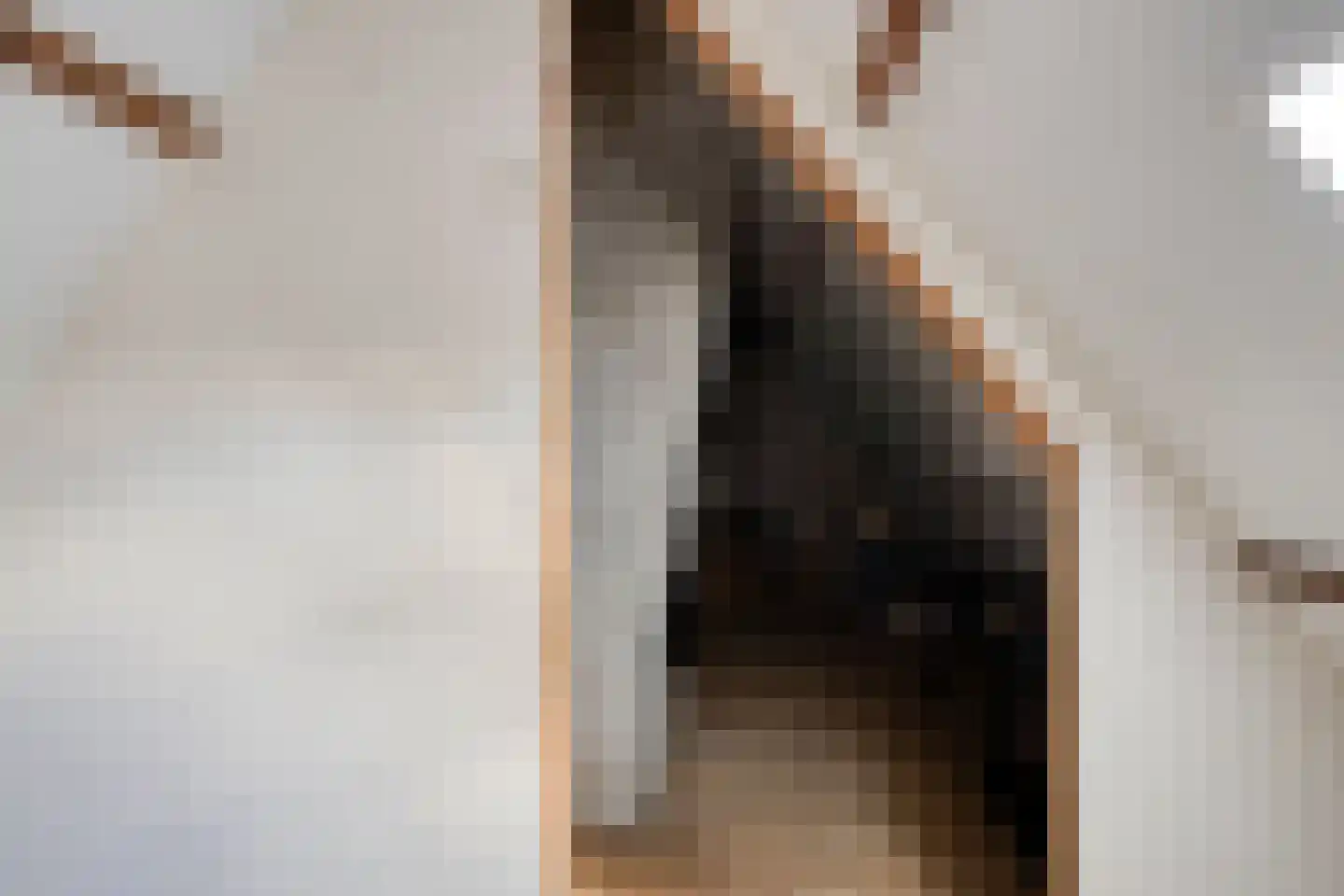 Groningerweg 14 Paterswolde thumbnail 48