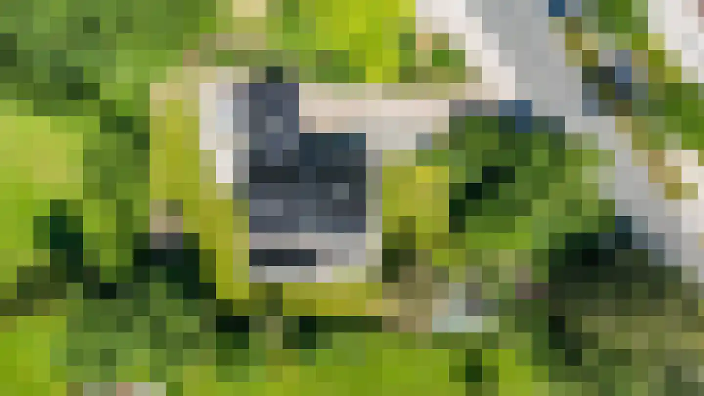 Groningerweg 14 Paterswolde thumbnail 50