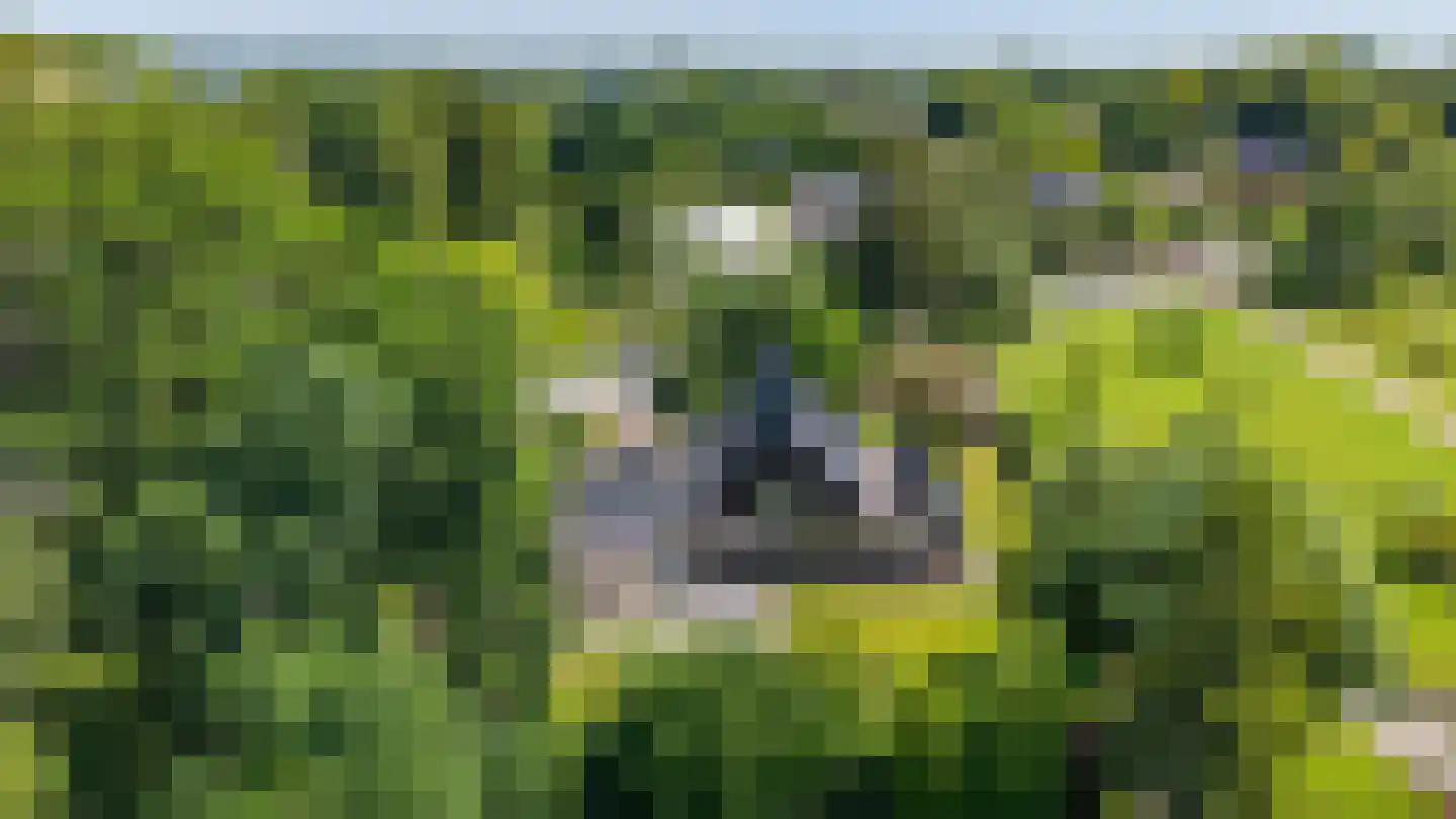 Groningerweg 14 Paterswolde thumbnail 51