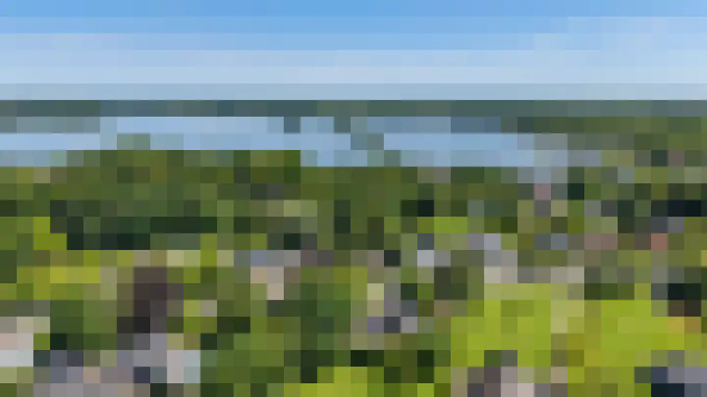 Groningerweg 14 Paterswolde thumbnail 53