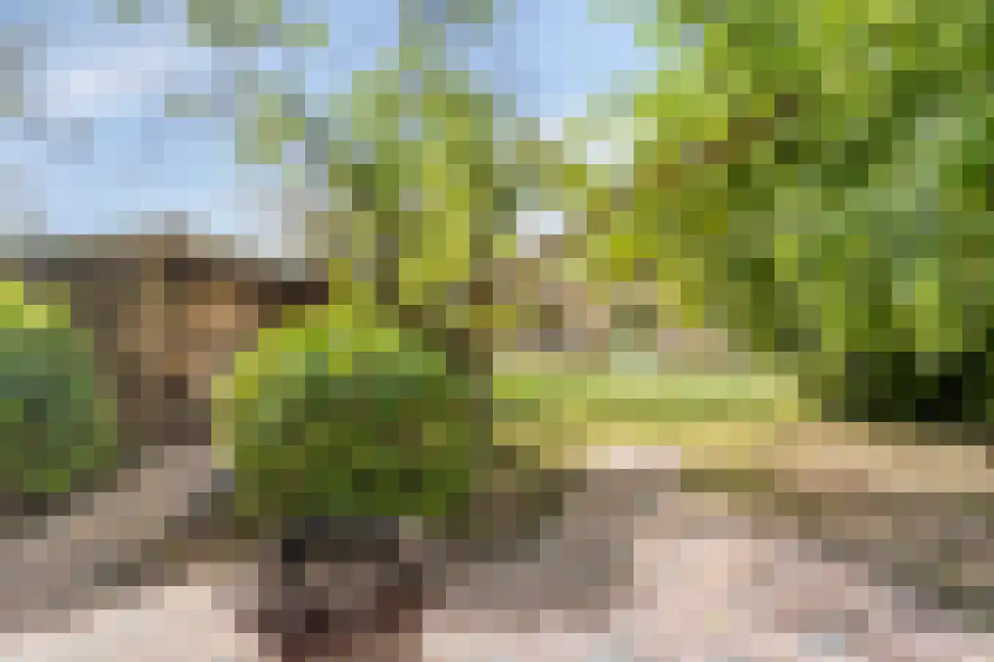 Groningerweg 14 Paterswolde thumbnail 55