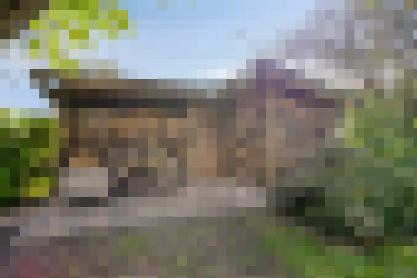 Groningerweg 14 Paterswolde thumbnail 57