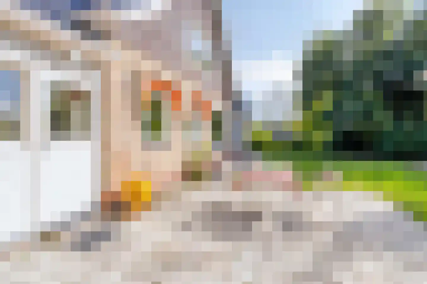 Groningerweg 14 Paterswolde thumbnail 60