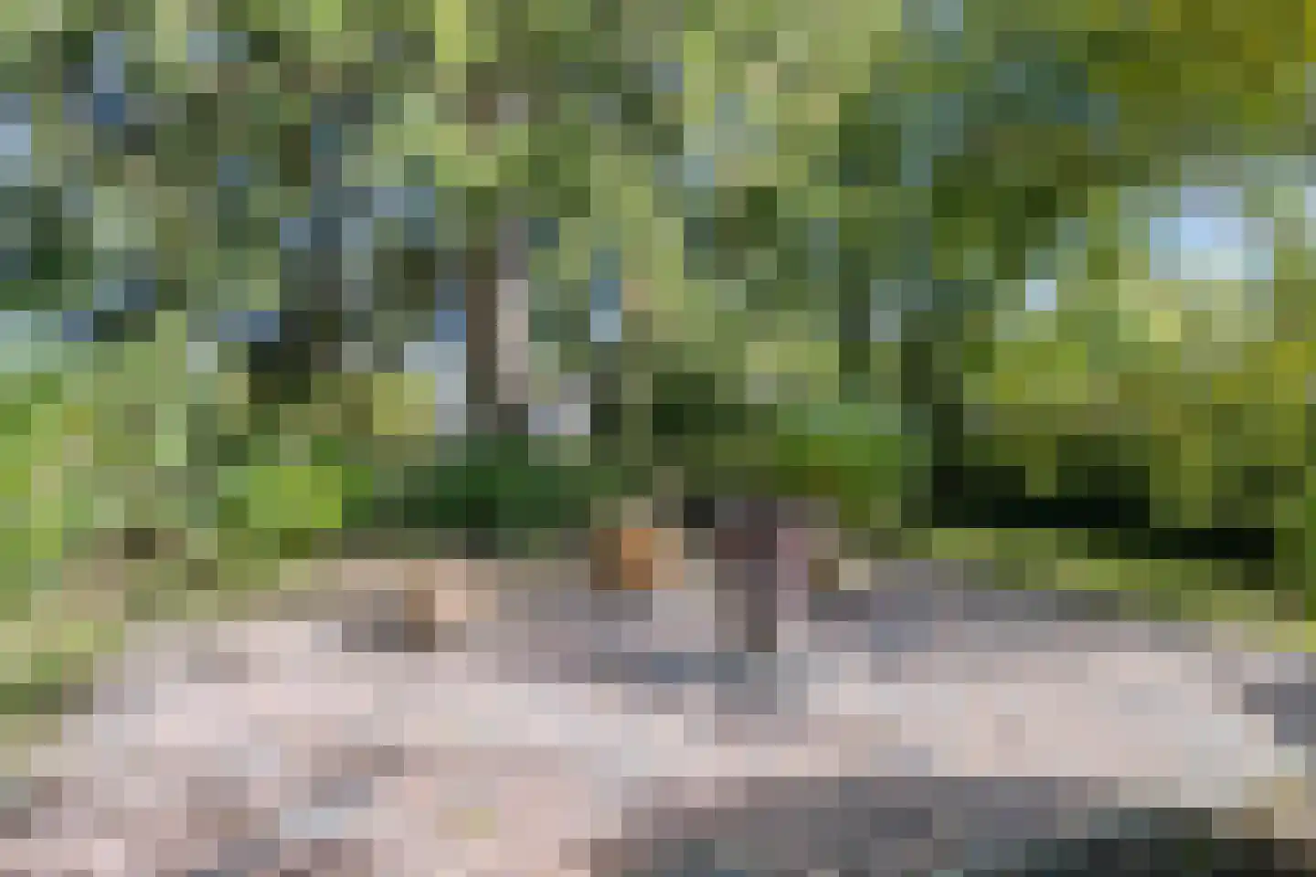 Groningerweg 14 Paterswolde thumbnail 63