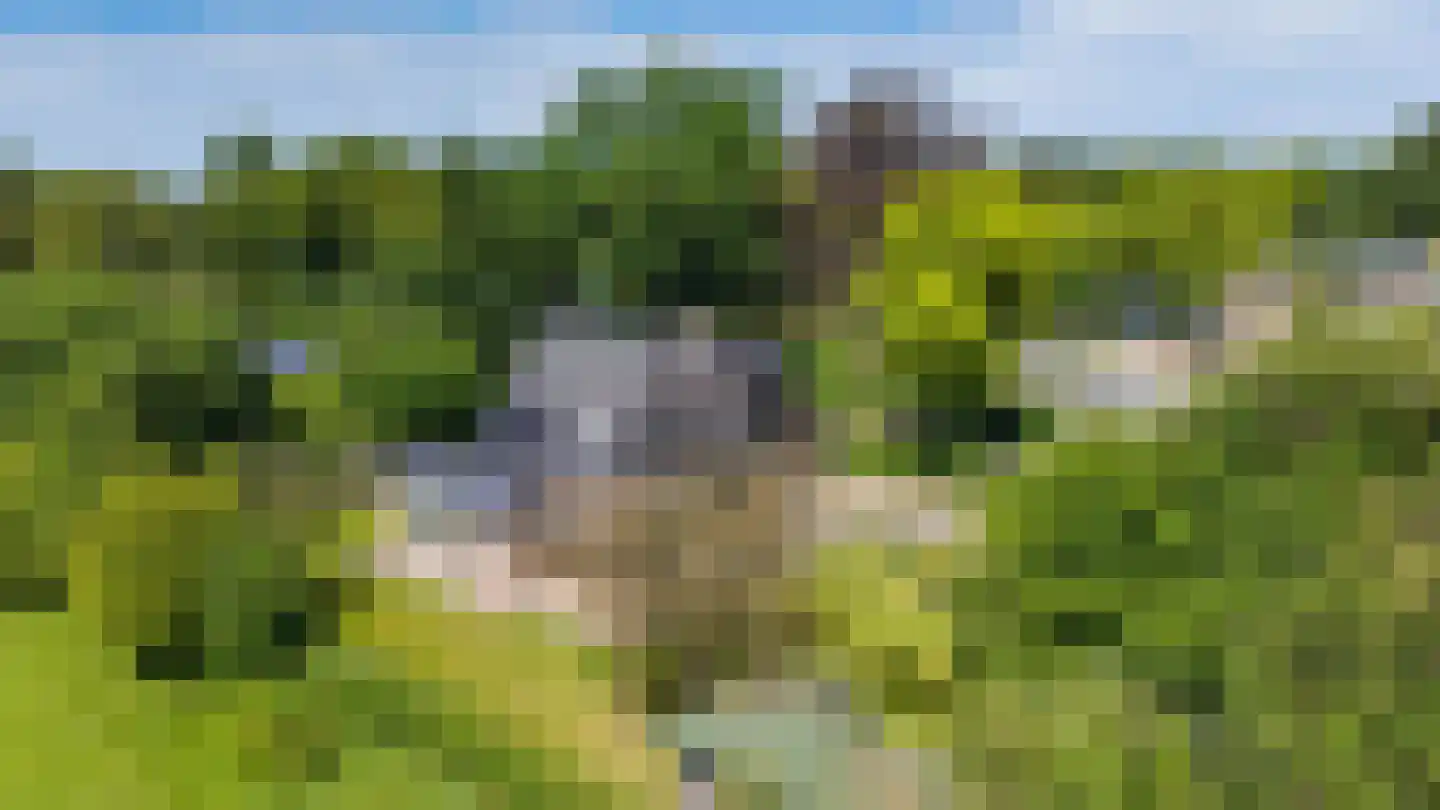 Groningerweg 14 Paterswolde thumbnail 7
