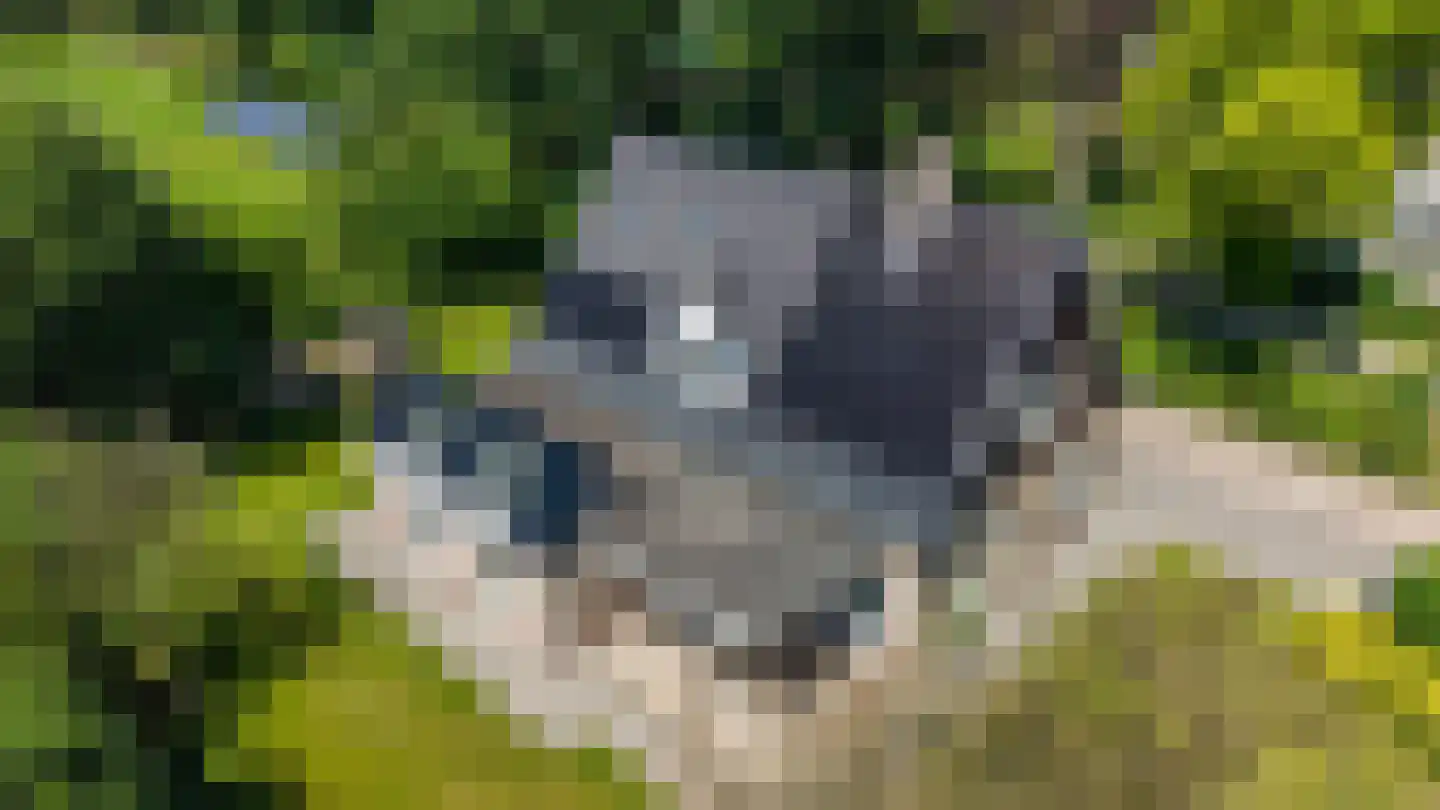 Groningerweg 14 Paterswolde thumbnail 8