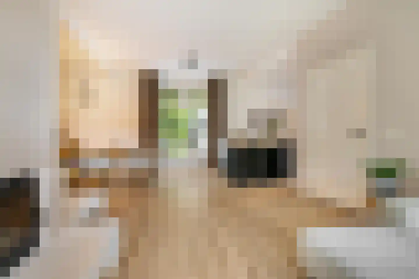 Groningerweg 24 Groningen thumbnail 17