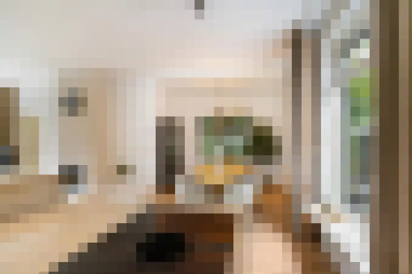 Groningerweg 24 Groningen thumbnail 19