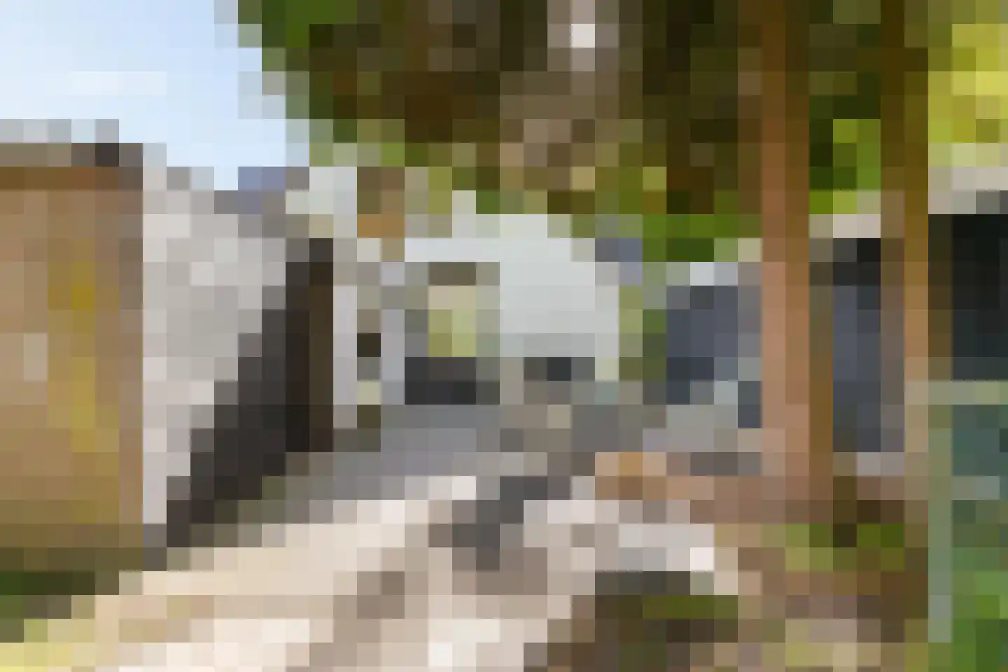 Groningerweg 24 Groningen thumbnail 30