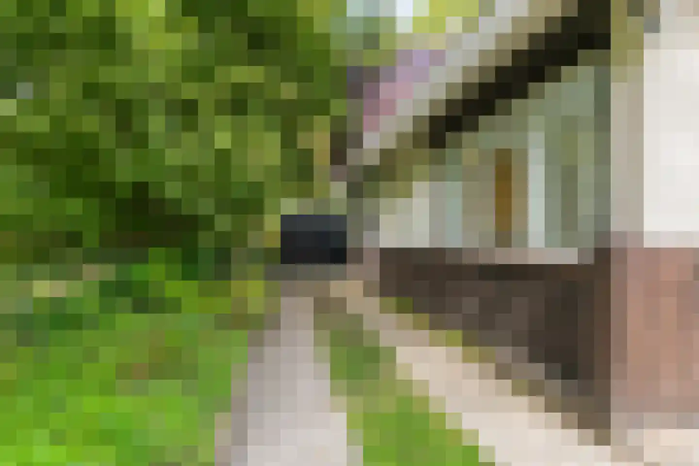 Groningerweg 24 Groningen thumbnail 55