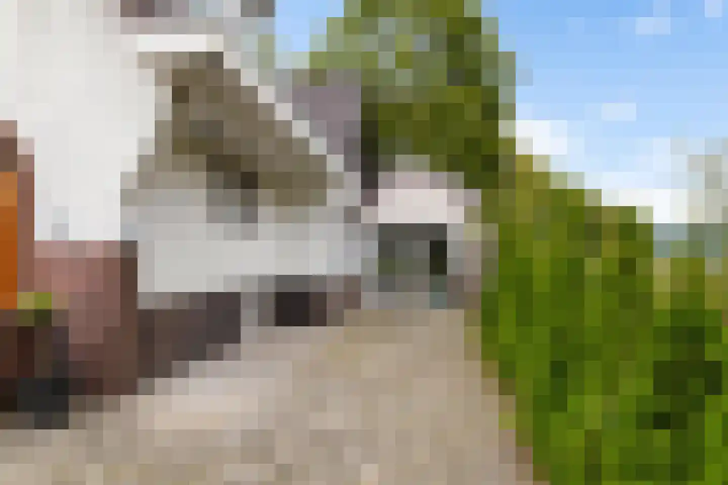 Groningerweg 24 Groningen thumbnail 7