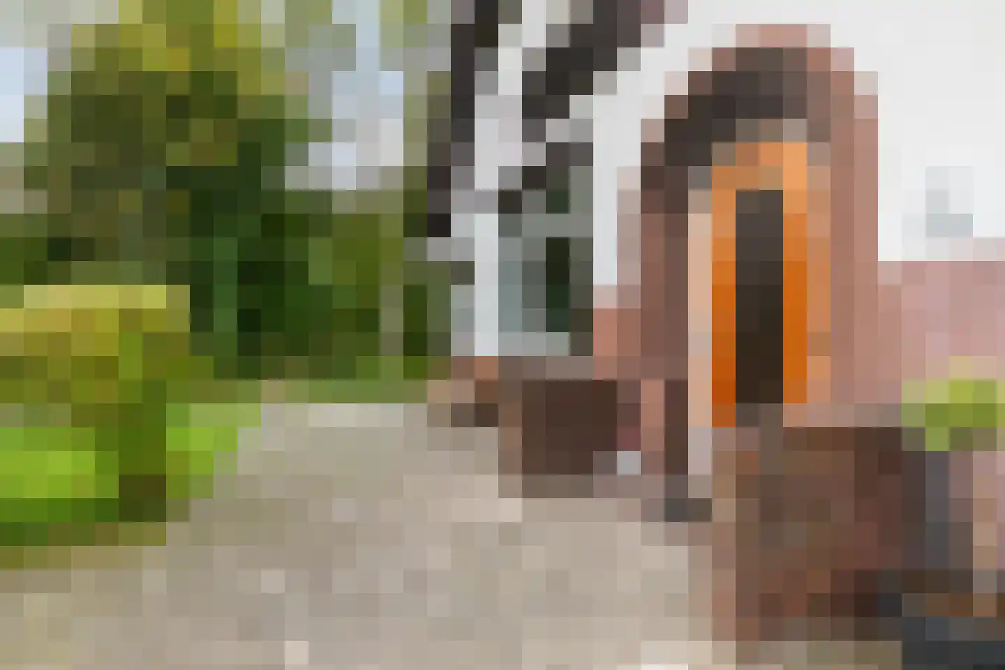 Groningerweg 24 Groningen thumbnail 8