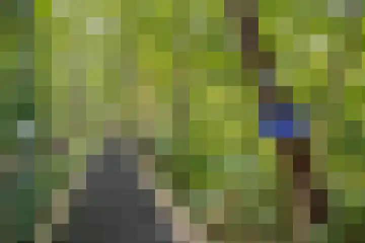 Groningerweg 27 Eelderwolde thumbnail 30
