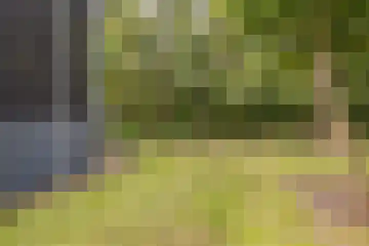 Groningerweg 27 Eelderwolde thumbnail 33