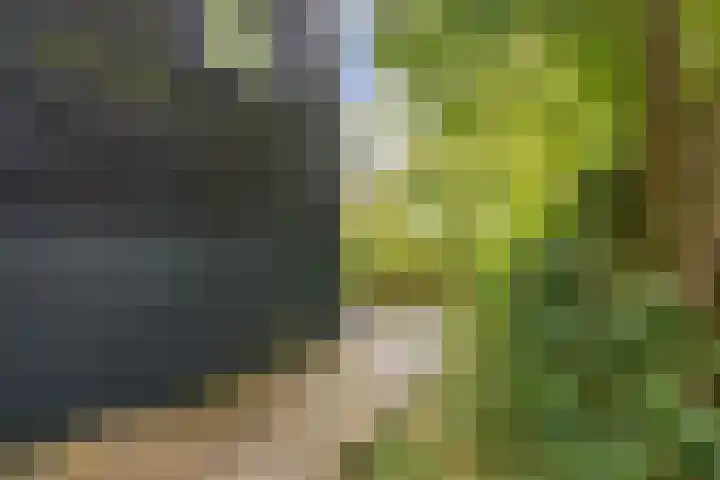 Groningerweg 27 Eelderwolde thumbnail 34