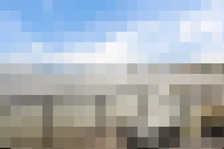 Groningerweg 27 Eelderwolde thumbnail 4