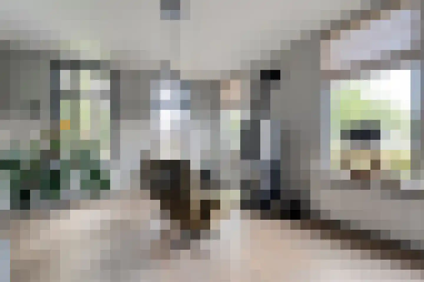 Groningerweg 48 Peize thumbnail 10