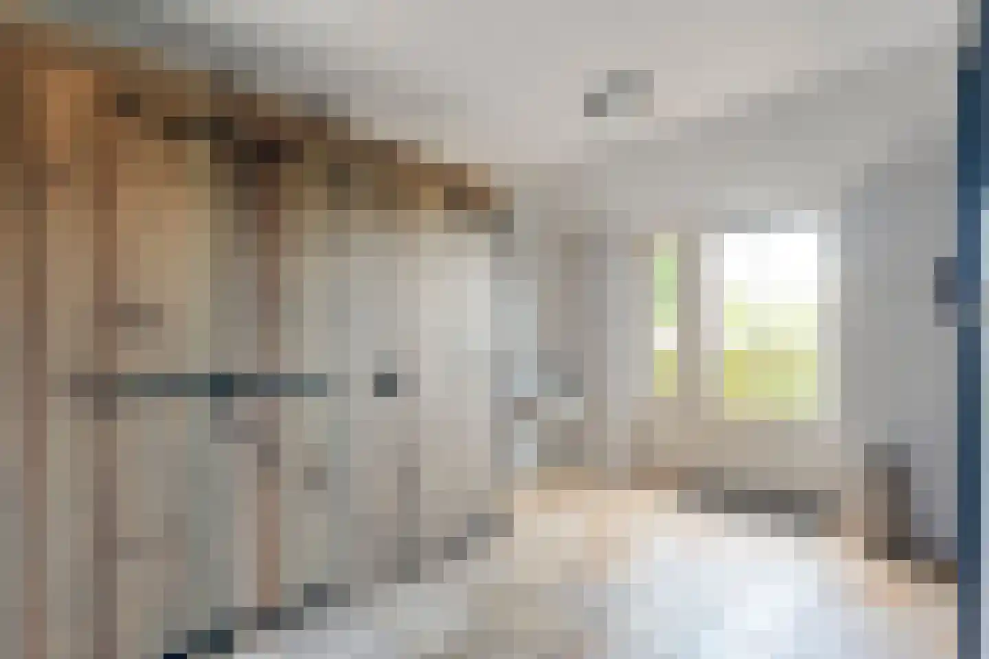 Groningerweg 48 Peize thumbnail 22