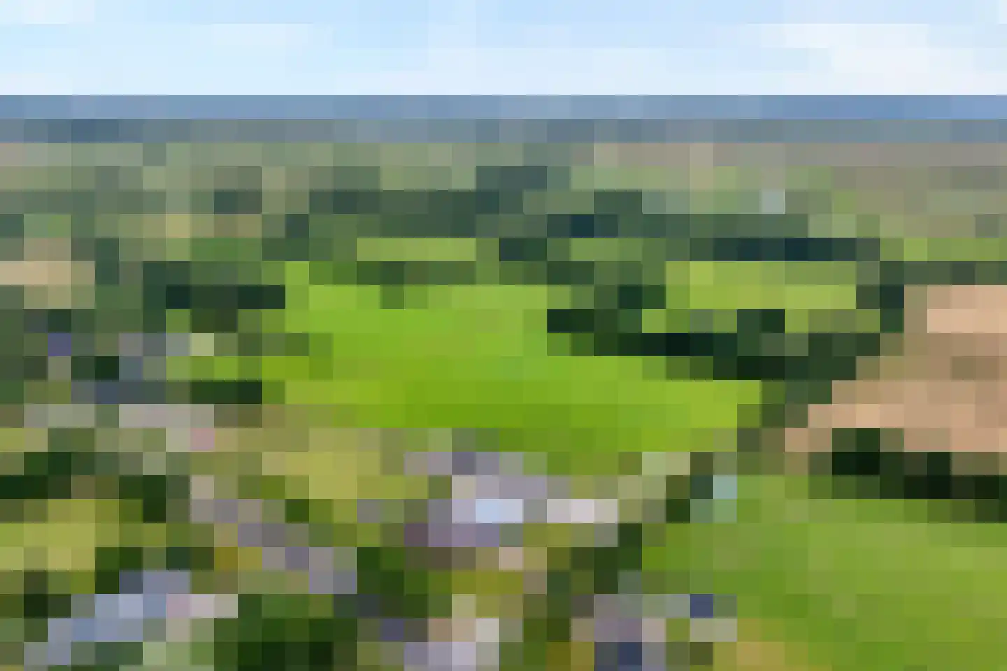 Groningerweg 48 Peize thumbnail 4