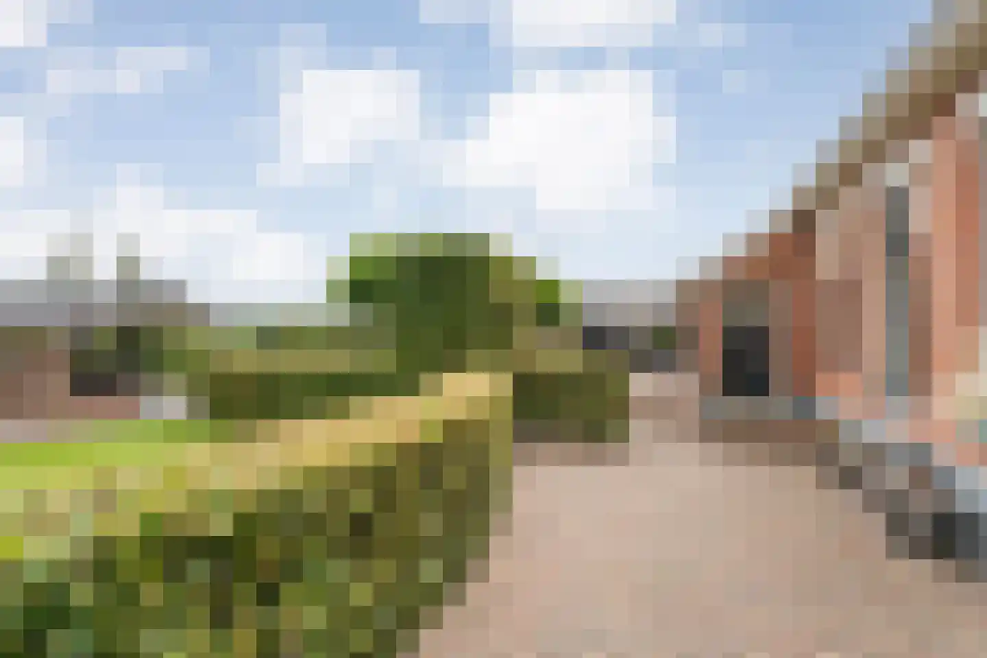 Groningerweg 48 Peize thumbnail 41