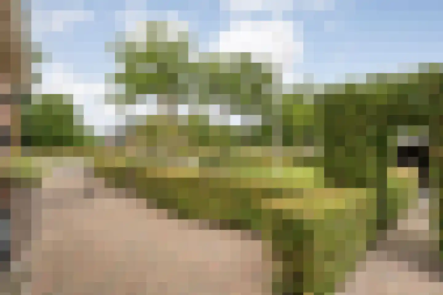 Groningerweg 48 Peize thumbnail 42