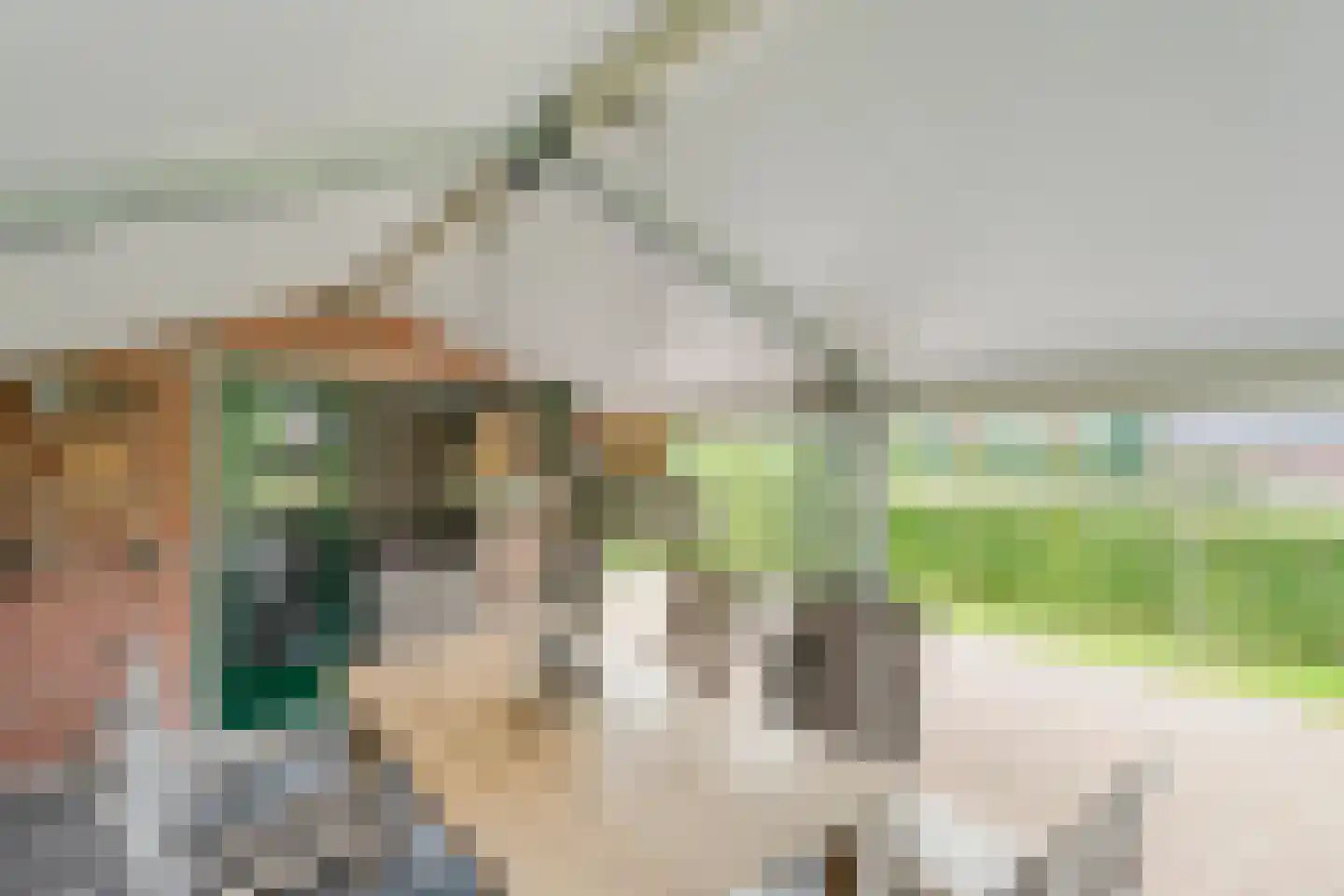 Groningerweg 48 Peize thumbnail 49