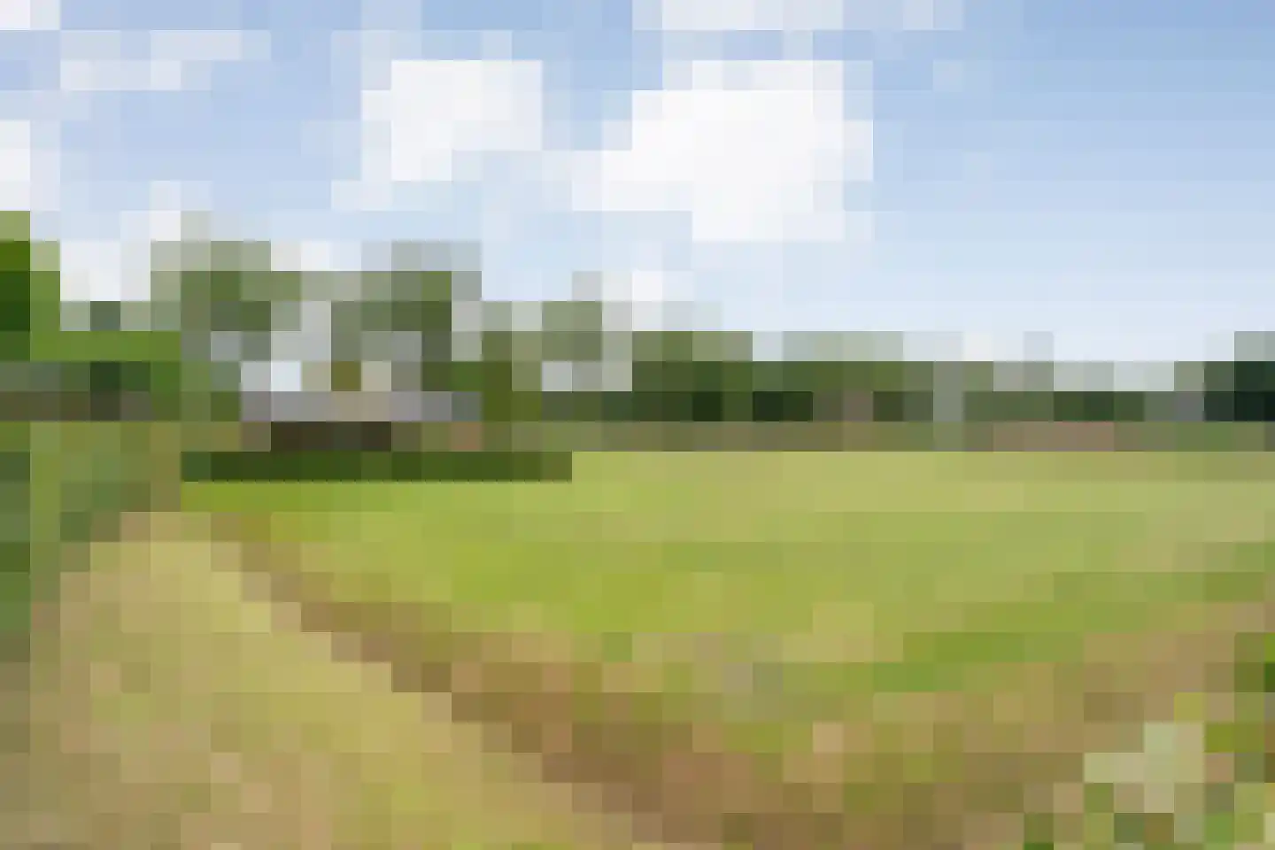 Groningerweg 48 Peize thumbnail 51