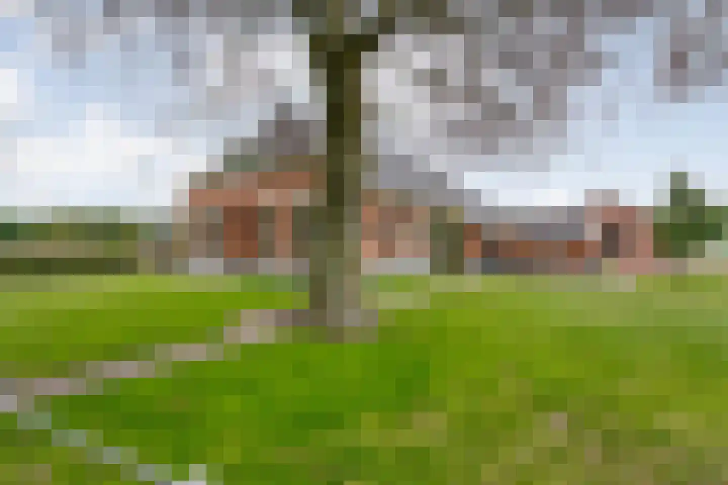 Groningerweg 48 Peize thumbnail 53