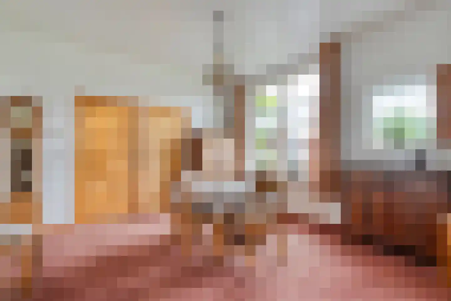 Groningerweg 48 Peize thumbnail 63