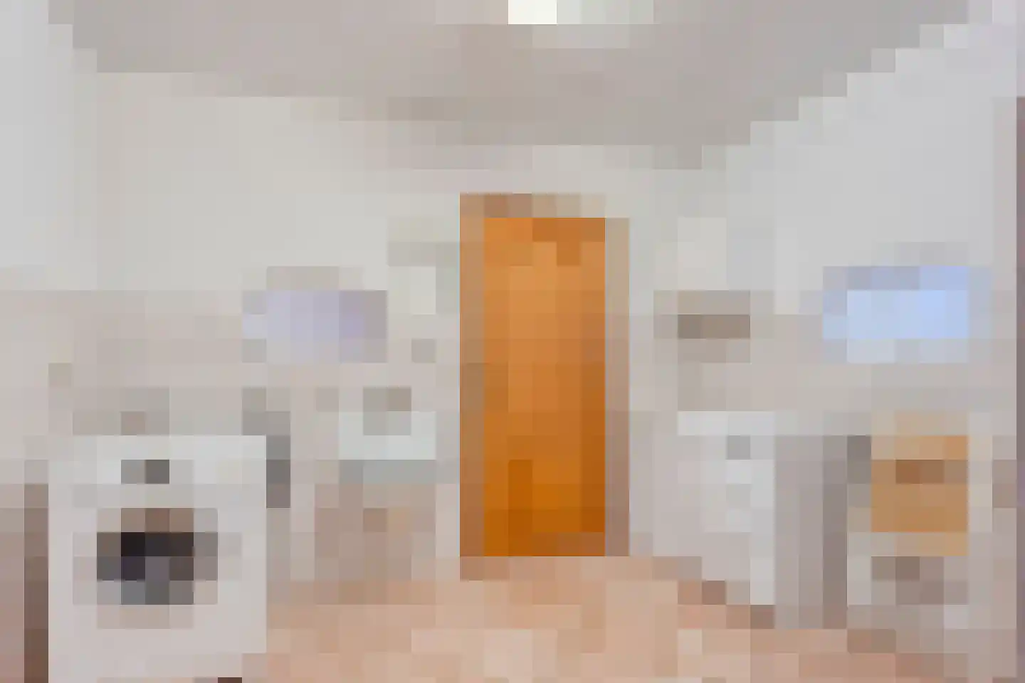 Groningerweg 48 Peize thumbnail 67
