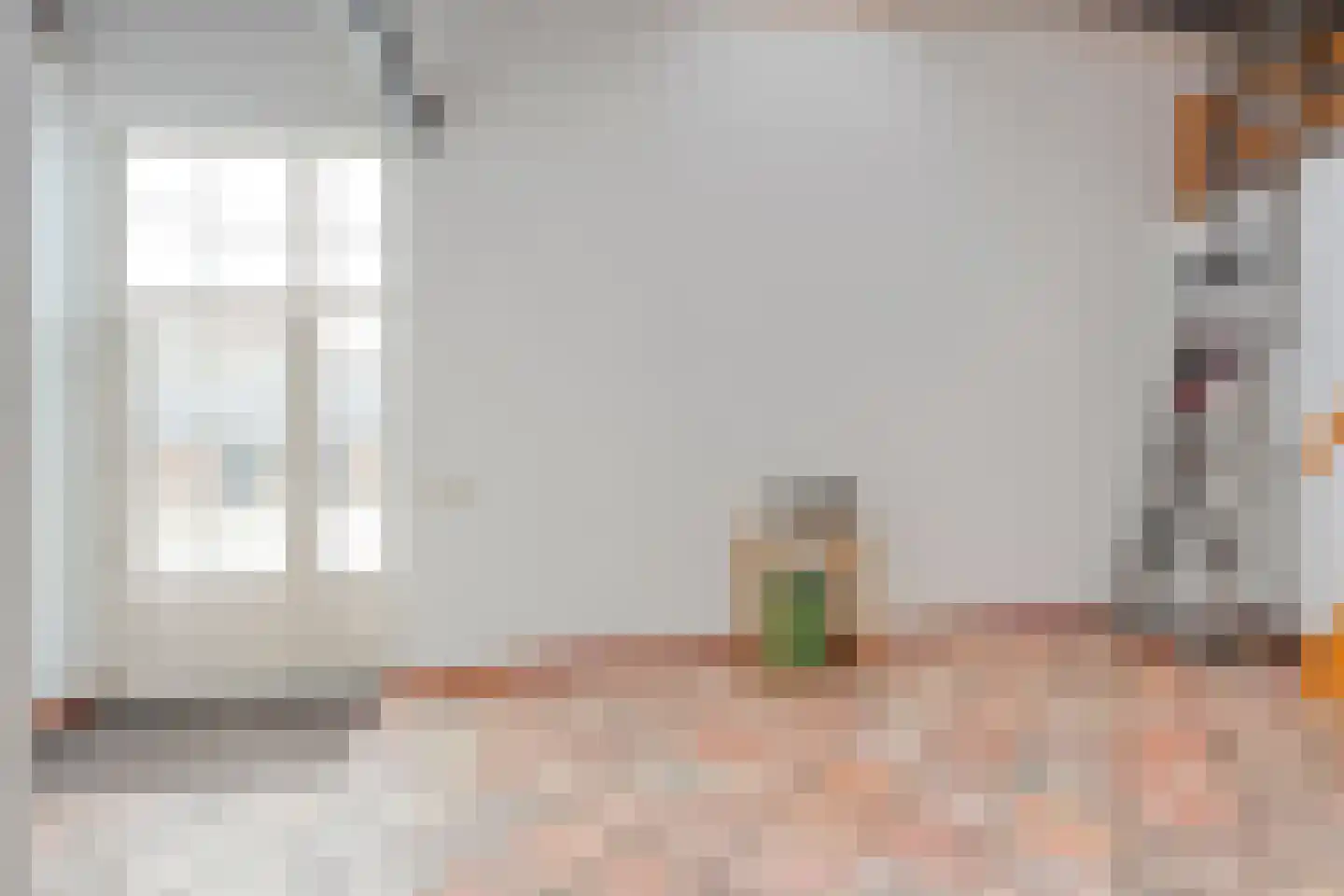 Groningerweg 48 Peize thumbnail 76