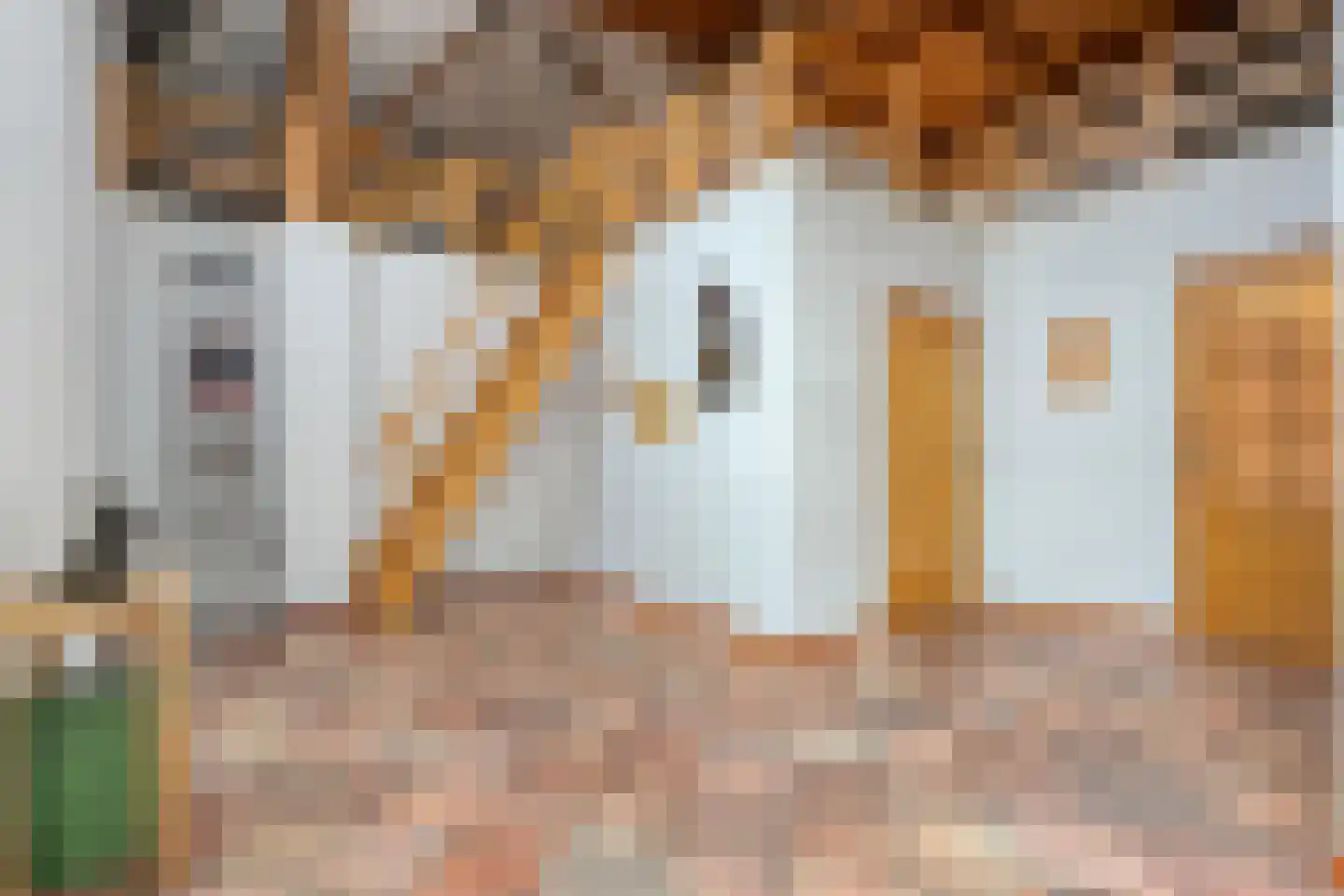 Groningerweg 48 Peize thumbnail 77