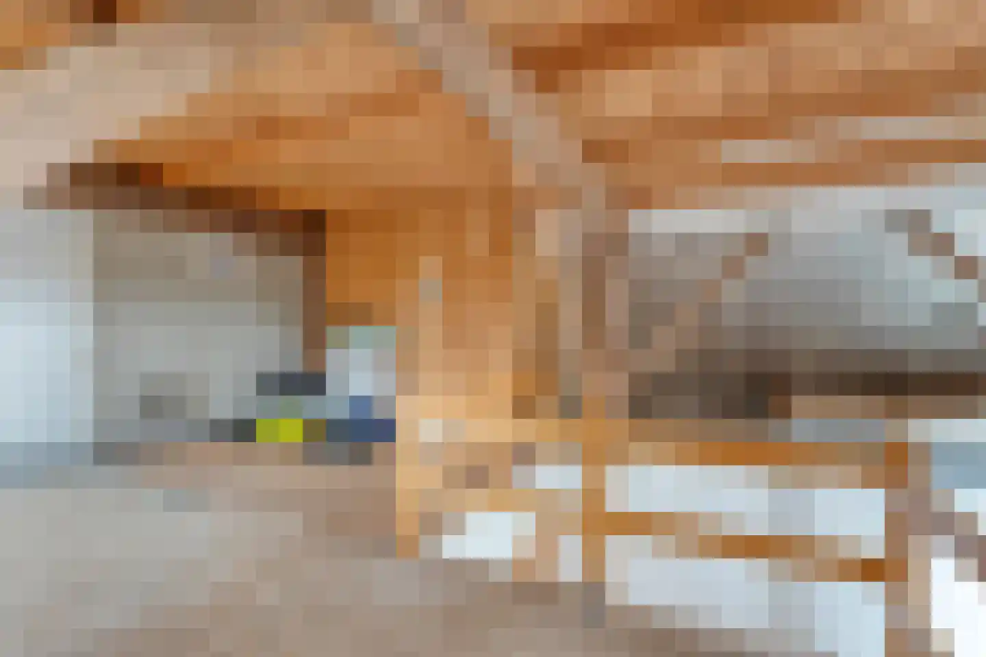 Groningerweg 48 Peize thumbnail 78