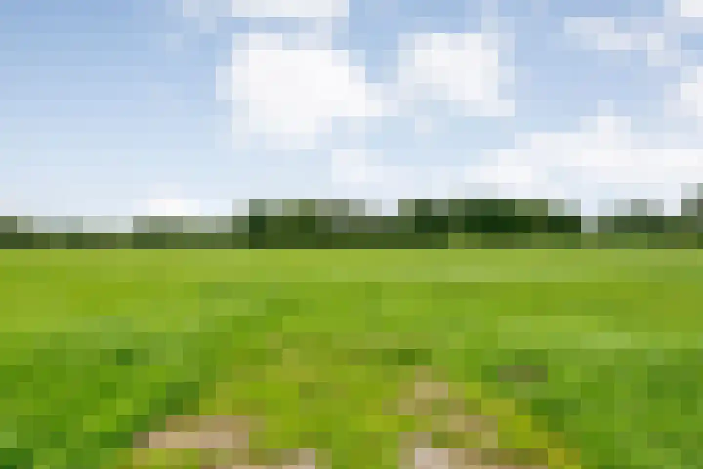 Groningerweg 48 Peize thumbnail 99