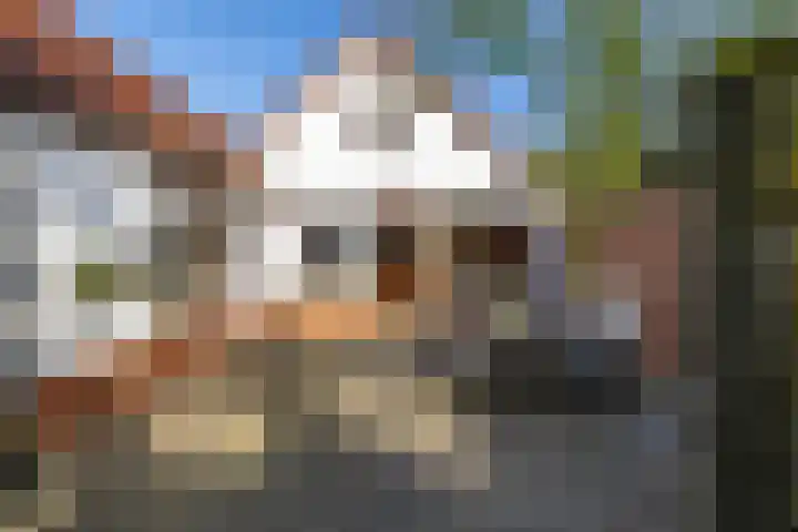 Groningerweg 64 Peize thumbnail 10