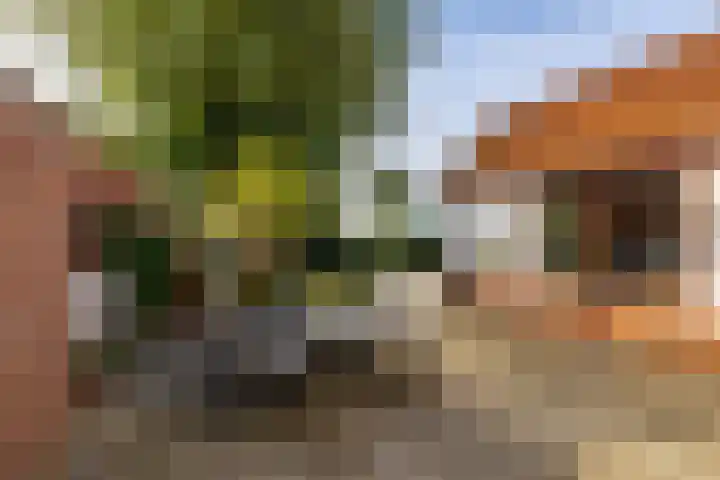 Groningerweg 64 Peize thumbnail 12