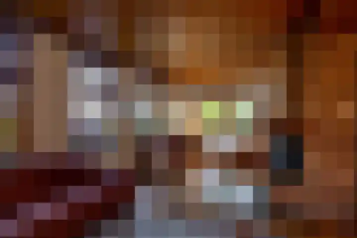 Groningerweg 64 Peize thumbnail 21