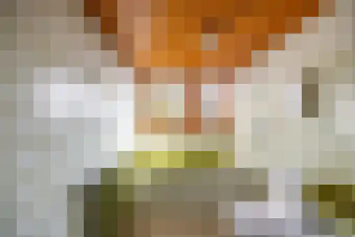 Groningerweg 64 Peize thumbnail 38