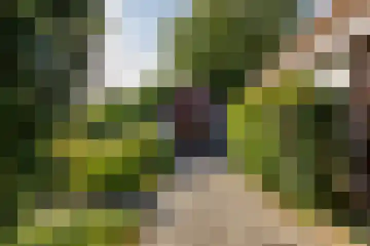 Groningerweg 64 Peize thumbnail 4