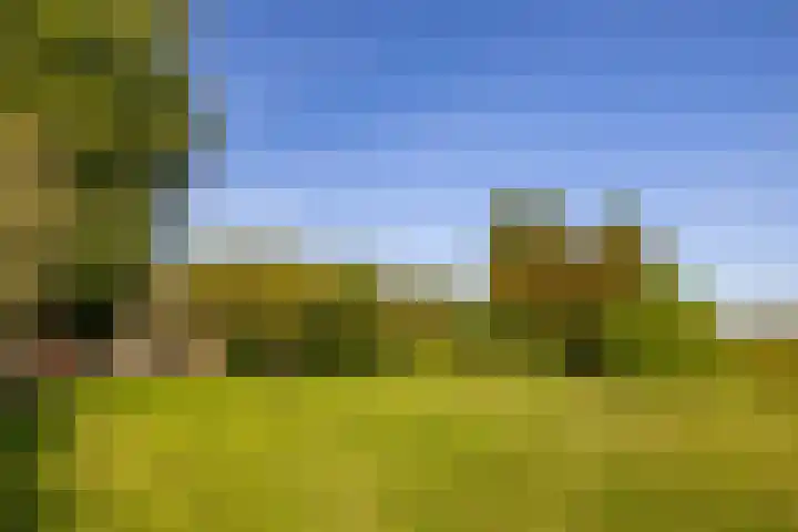 Groningerweg 64 Peize thumbnail 40