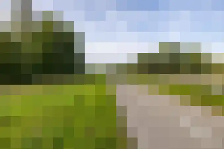 Groningerweg 64 Peize thumbnail 41