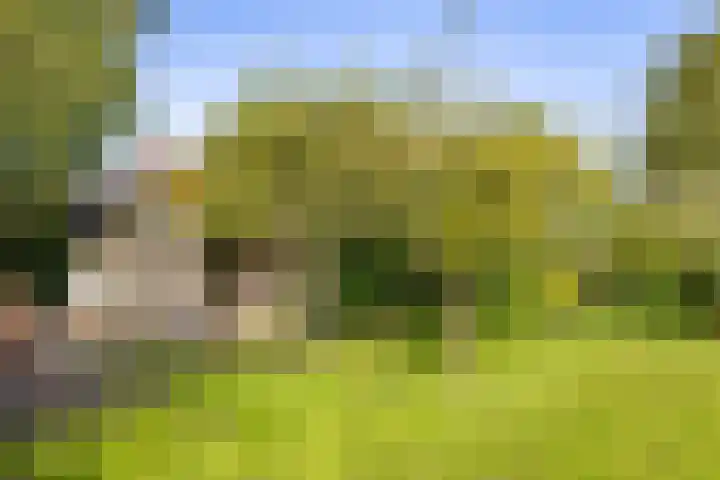 Groningerweg 64 Peize thumbnail 43