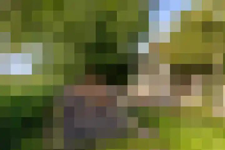 Groningerweg 64 Peize thumbnail 44